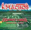 Banda Machos - Trayectoria: Banda Machos